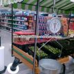 frutas_02